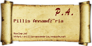 Pillis Annamária névjegykártya